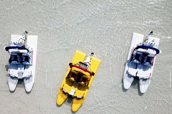 2 Hour Key West Mini Catamaran Eco Tour - Key West mini catamaran tour: the highlights you’ll actually care about