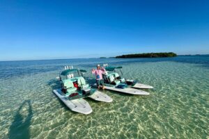 2 Hour Key West Mini Catamaran Eco Tour - Stop 1: mangrove forest channels—quiet waterways and real wildlife chances