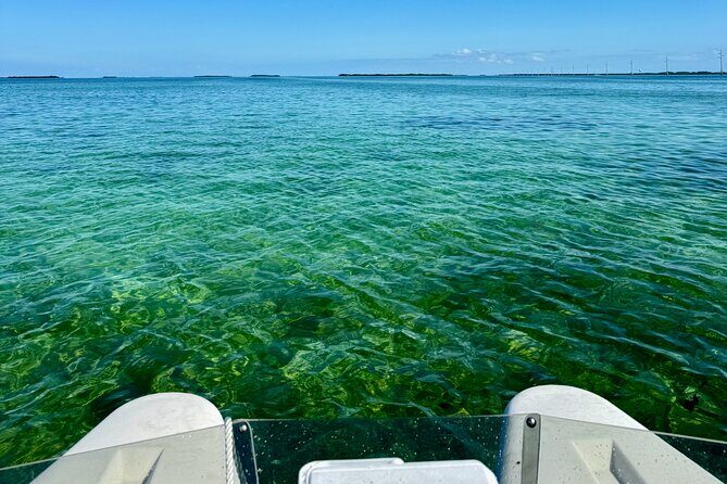 2 Hour Key West Mini Catamaran Eco Tour - Stop 2: Key West sandbar time—swim, snorkel, or just hang