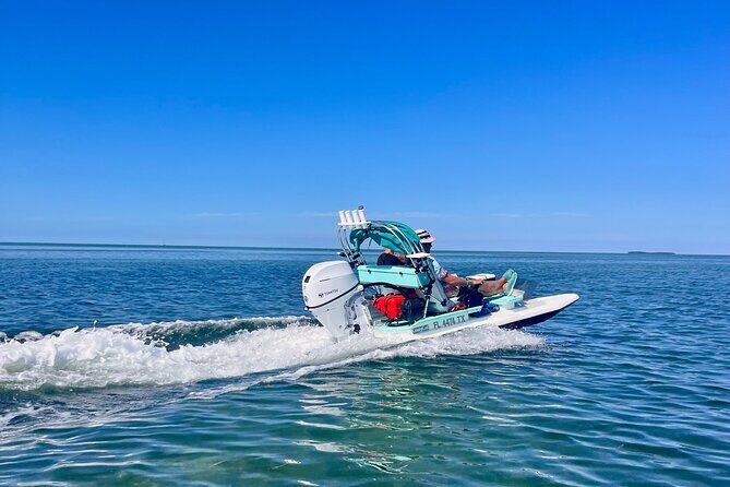 2 Hour Key West Mini Catamaran Eco Tour - Stop 4: wildlife encounters—what you might see and why guidance matters