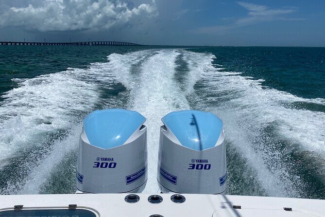 3 Hour Private Snorkeling in Marathon Florida - A private 3-hour reef trip from Marathon