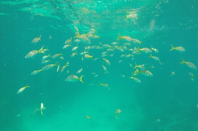 3 Hour Private Snorkeling in Marathon Florida - What’s included—and what you should pack