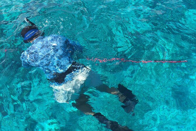 3 Hour Private Snorkeling in Marathon Florida - Timing, seas, and making it work with kids