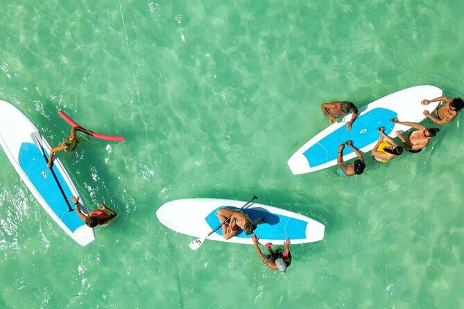All-Inclusive Sandbar Safari with Dolphin Playground Encounter - The lunch and drinks: why the all-inclusive part really saves money