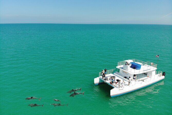 All-Inclusive Sandbar Safari with Dolphin Playground Encounter - Water toys, lily pad floating, and how the setup affects your fun