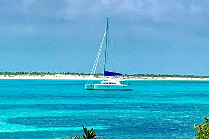 Bimini Charters - Private 3hr Catamaran Charters, Sail & Snorkel - Dolphin and Turtle Moments Usually Beat Any Checklist