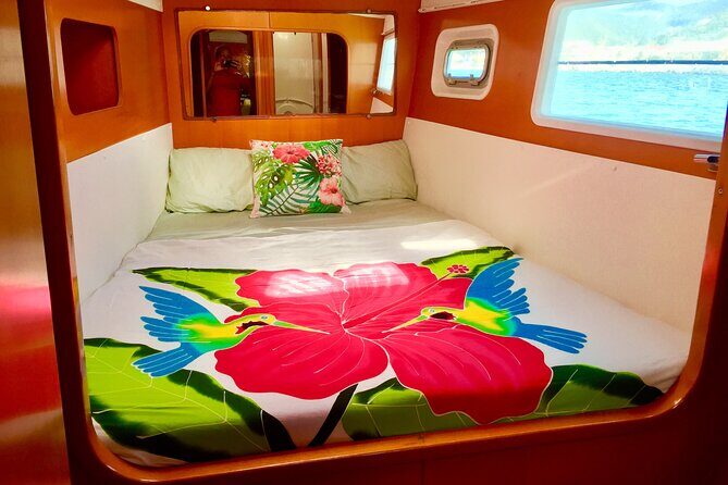 Bimini Charters - Private 3hr Catamaran Charters, Sail & Snorkel - Private Deck Time: Bring Your Own Vibe