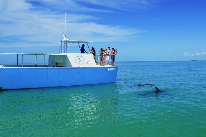 Biologist Owned & Operated: Dolphin Watching & Guided Snorkeling - The Snorkeling Part: Sponge Gardens and Calm Coaching (Not a Stress Test)