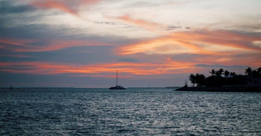 Captain's Choice: Dolphin Watch Sunset Sail - The included bar and tapas: what $89 covers (and how to get the most out of it)