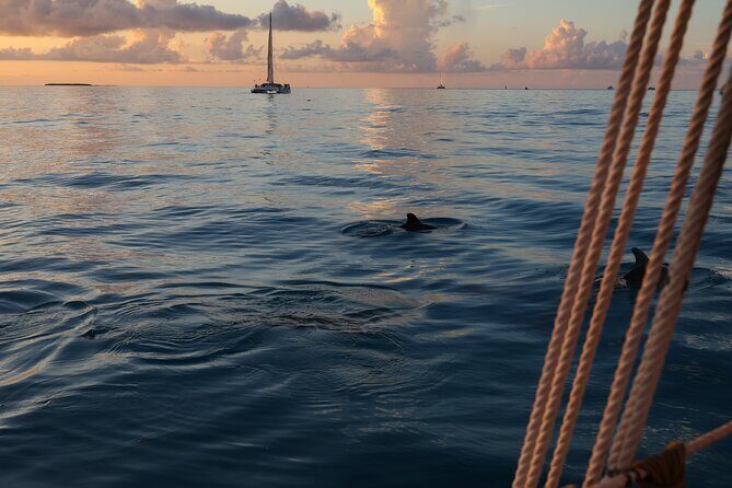 Classic Key West Schooner Sunset Sail with Full Open Bar - Setting Off From 200 William St: Getting Started Smoothly