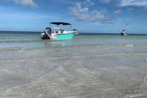 Custom Charters with a Local Captain - Key West Water Options: Sandbars, Dolphins, and Snorkeling