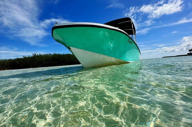 Custom Charters with a Local Captain - Sandbar Time: Where the Day Actually Feels Like Vacation