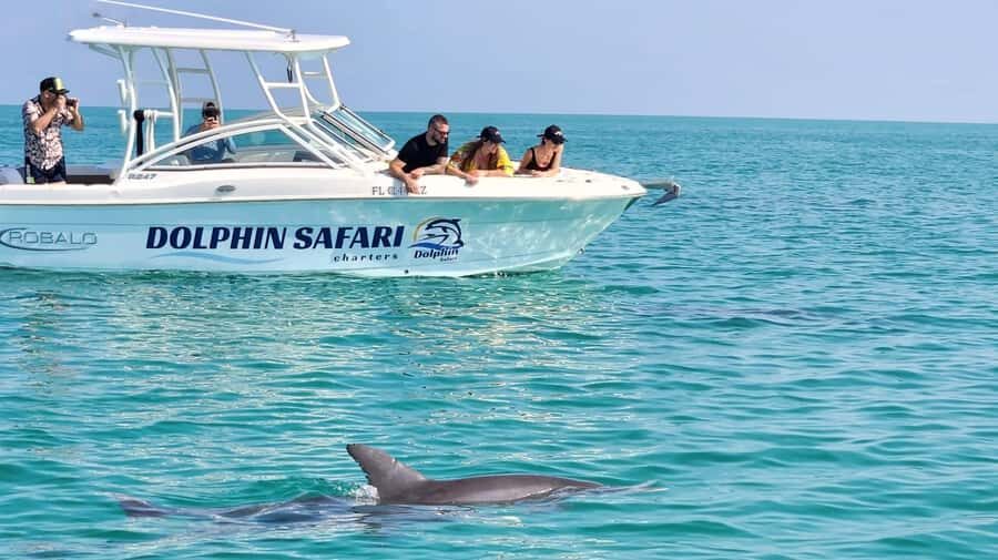 Dolphin & Snorkeling Key West - Meeting at Salty Oyster Dockside: your quick start to 3 hours on the water