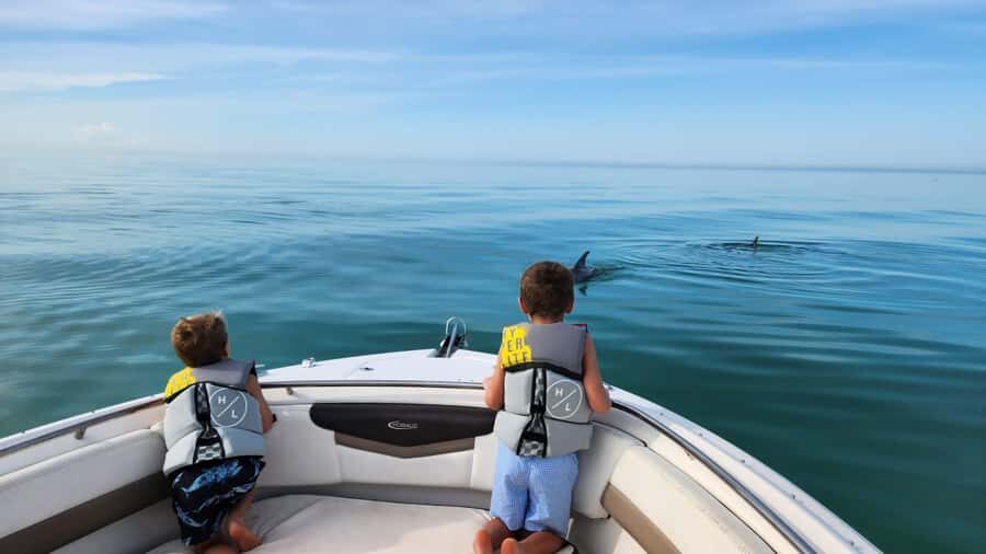 Dolphin & Snorkeling Key West - Small-group dynamics: the captain matters more than you think