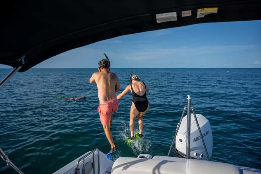 Dolphin & Snorkeling Key West - Who should book Dolphin Safari Charters in Key West