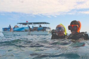 Dolphin Watching and Snorkeling Adventure in Key West - Snorkeling in the Backcountry and Reef Areas: What You’ll Actually See