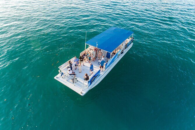 Dolphin Watching and Snorkeling Adventure in Key West - Snacks, Adult Beverages, and the Small Comfort Wins
