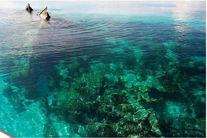 Dry Tortugas National Park Day Trip by Catamaran from Key West - Key Things I’d Focus On