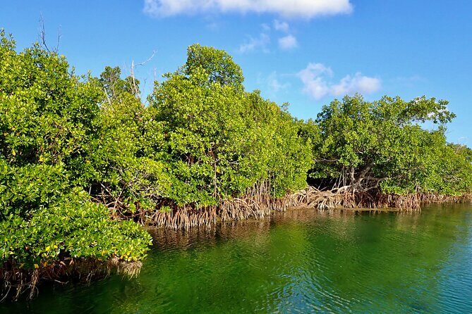 Florida Keys Backcountry Eco Tour from Big Pine Key - Key highlights worth planning for