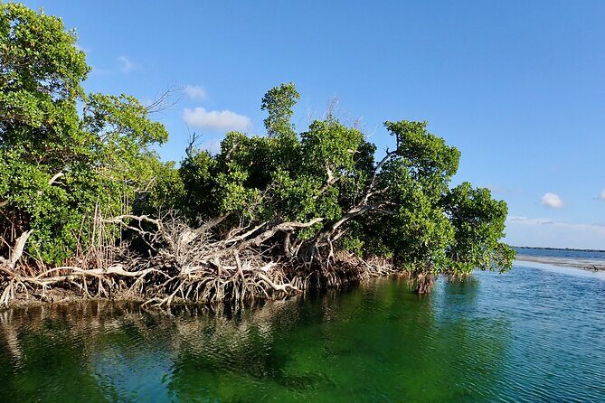 Florida Keys Backcountry Eco Tour from Big Pine Key - Where you meet on Big Pine Key and how the timing plays out