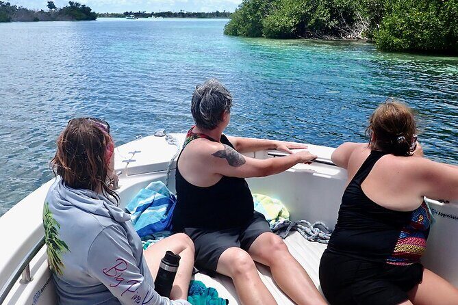 Florida Keys Backcountry Eco Tour from Big Pine Key - Stop 3: Great White Heron Wildlife Refuge—bird nesting territory in motion