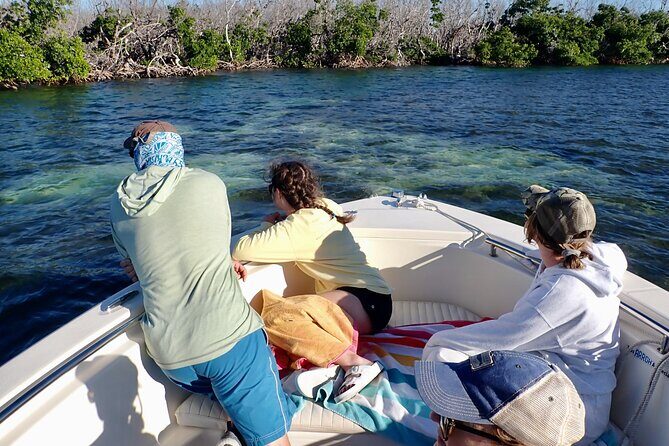 Florida Keys Backcountry Eco Tour from Big Pine Key - Wildlife viewing tips that actually help on this route