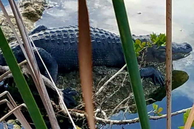 Florida Keys Nature & History Tour from Key West - Price and what $109 gets you in real value