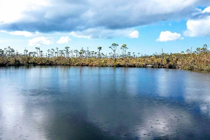 Florida Keys Nature & History Tour from Key West - National Key Deer Refuge: the short stop that can still be magic