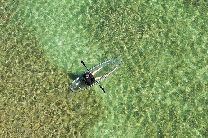 Guided Clear Kayak Eco-Tour Near Key West - Clear Kayaks Over Sugarloaf Key: What Makes This Tour Special