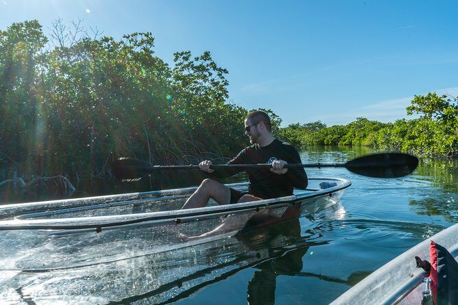Guided Clear Kayak Eco-Tour Near Key West - What You’ll Spot Under the Plexiglass (and What to Expect on Non-Perfect Days)