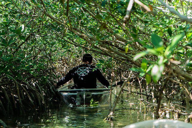 Guided Clear Kayak Eco-Tour Near Key West - The Guides and the Group Size: Why People Keep Recommending This