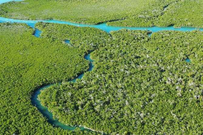 Guided Clear Kayak Eco-Tour Near Key West - Logistics That Actually Affect Your Experience