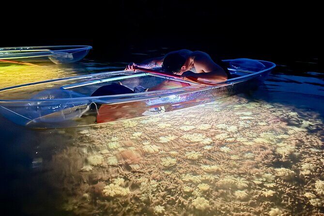Guided Night Kayak Adventure Tour in Luminous Lagoon - LED-lit Night Kayaking Through Key West Mangroves