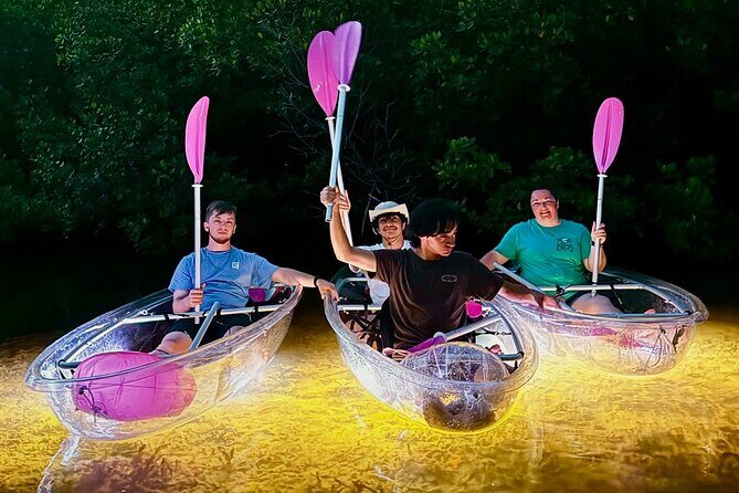 Guided Night Kayak Adventure Tour in Luminous Lagoon - What You’ll Do on the Water (and Why the Timing Matters)