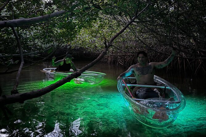 Guided Night Kayak Adventure Tour in Luminous Lagoon - Wildlife Spotting: What You Might See in the Dark