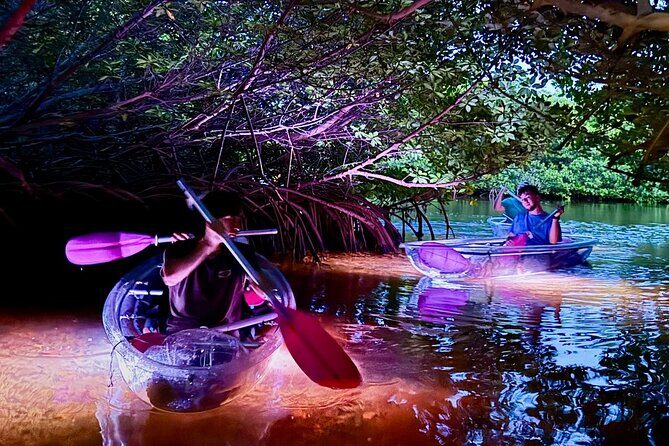 Guided Night Kayak Adventure Tour in Luminous Lagoon - Stop 1: The Mangrove Ride Under Starlight