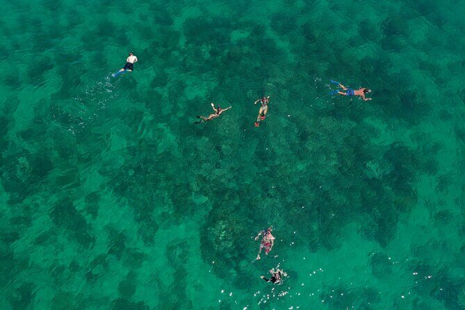 Half-Day Morning Trip from Key West with Kayaking and Snorkeling - Key Points You’ll Care About