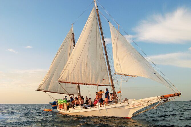 Half-Day Morning Trip from Key West with Kayaking and Snorkeling - Weather, Swells, and Why Shallow Waters Help