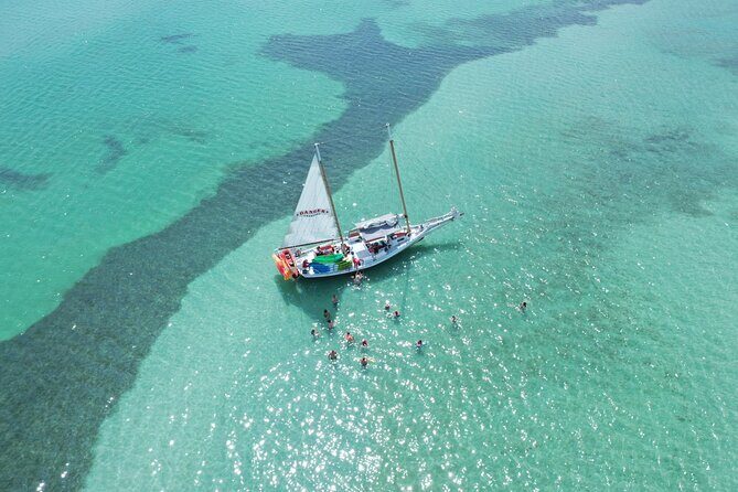 Half-Day Morning Trip from Key West with Kayaking and Snorkeling - Who This Tour Suits Best (and Who Should Rethink It)