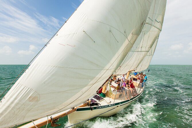 Half-Day Morning Trip from Key West with Kayaking and Snorkeling - Practical Tips So Your Morning Feels Easy