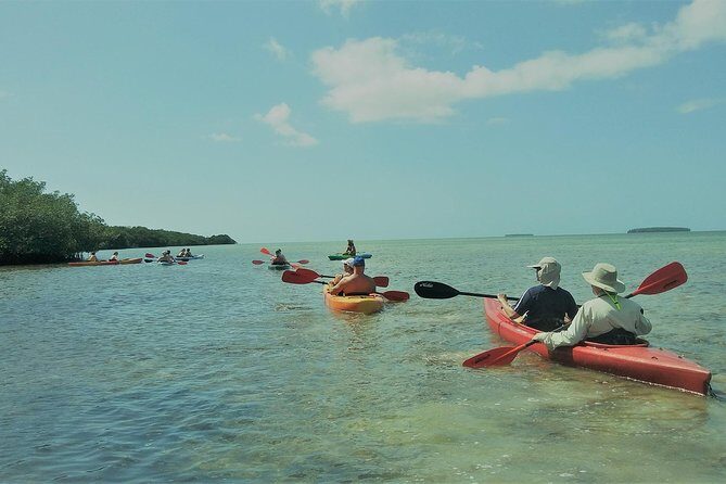 Half-Day Trip from Key West with Kayaking, Snorkeling & Sunset - Sailing through Key West Harbor: the warm-up before the real nature time
