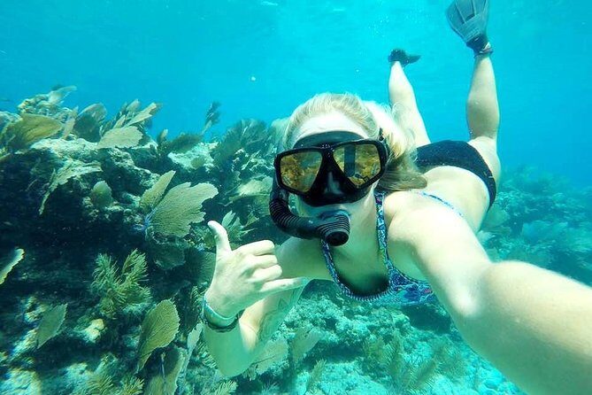 Half-Day Trip from Key West with Kayaking, Snorkeling & Sunset - Snorkeling in the Florida Keys National Marine Sanctuary: what you can realistically expect