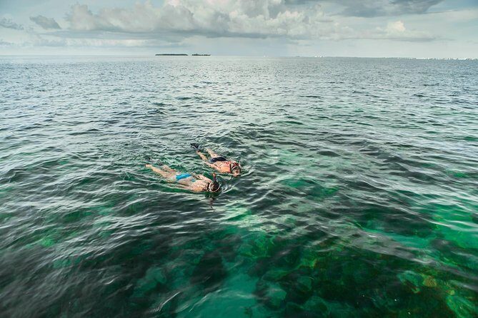Half-Day Trip from Key West with Kayaking, Snorkeling & Sunset - Price and value: does $115 make sense here?