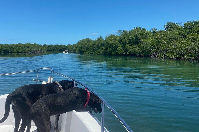 Island Hop Sandbar Adventure - Why a private Key West sandbar cruise feels like real island time