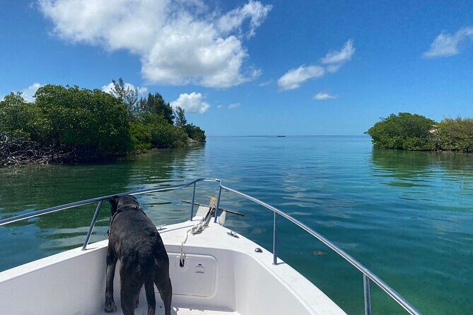 Island Hop Sandbar Adventure - Full-day (8-hour) option: reef snorkeling plus more island time