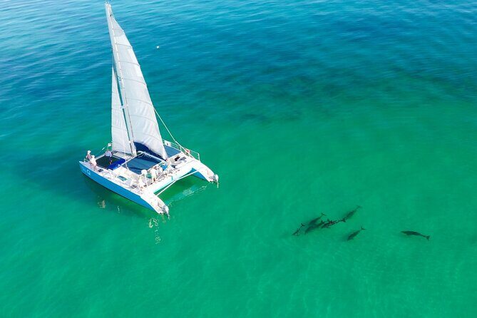 Kayak + Guided Snorkel & Morning Sail hosted by Honest Eco - Key things I’d bank on before you go