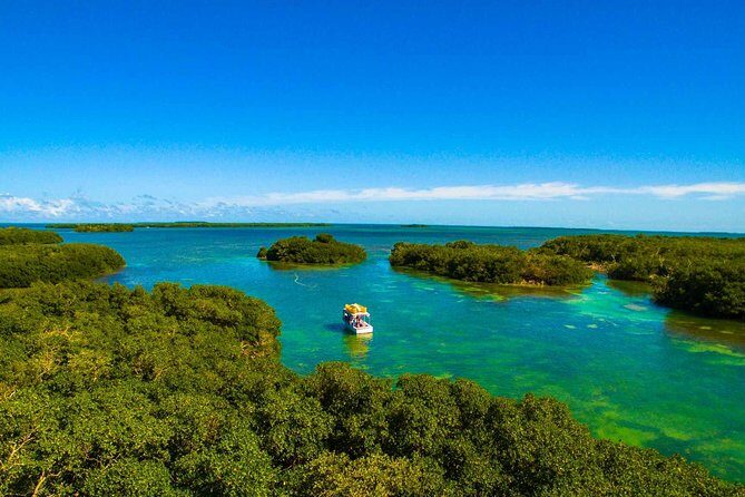 Kayak + Guided Snorkel & Morning Sail hosted by Honest Eco - Key West sail time: the relaxed cruise that ties it together