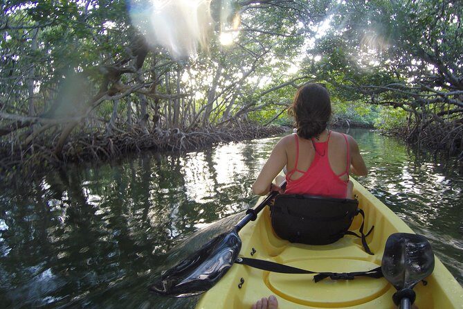 Kayak + Guided Snorkel & Morning Sail hosted by Honest Eco - Snacks, food stops, and why the organic touch matters