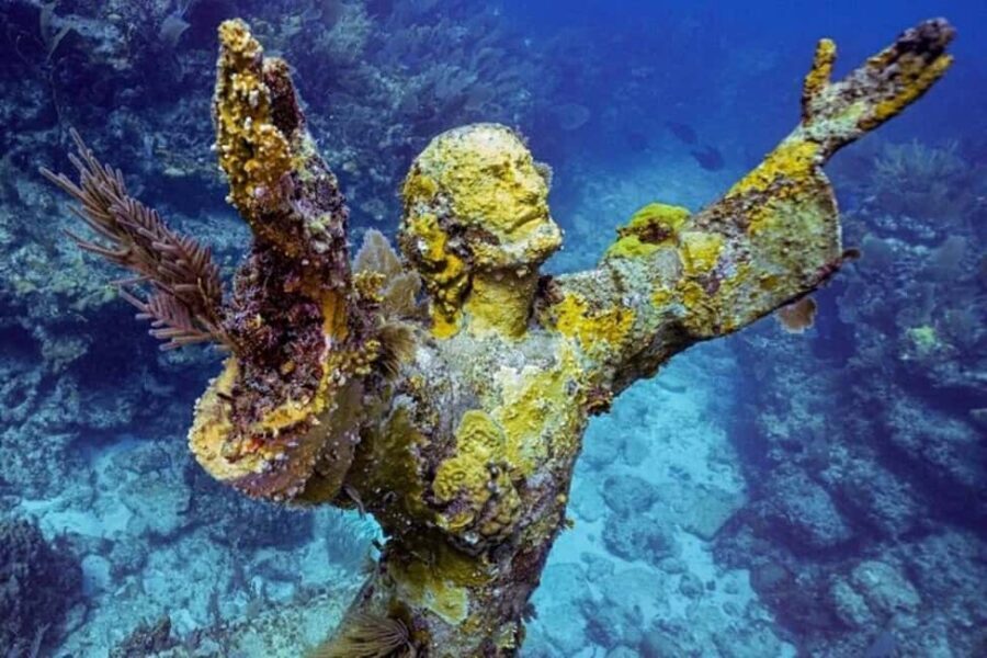 Key Largo: Snorkeling Trip - Meeting at the Reef House: Getting Started Without the Stress