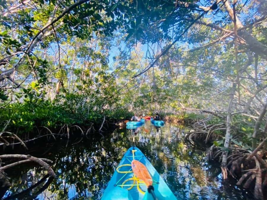 Key West: 2-hour Mangrove Kayak Tour - Key moments to know before you go